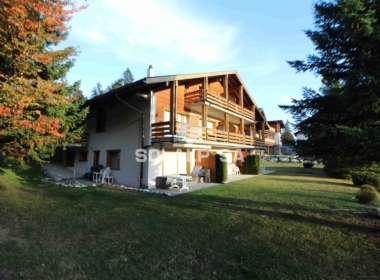 10102022-Faucon (4) - Copie
